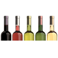Wine south america (39)