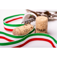 Wine south america (40)