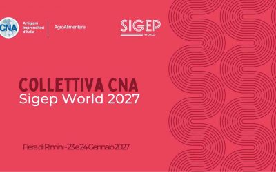 Sigep 2027