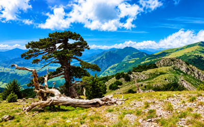 BASILICATA COAST TO COAST 2026