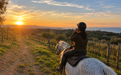 Pacchetto fuoriporta passeggiata naturalistica a cavallo