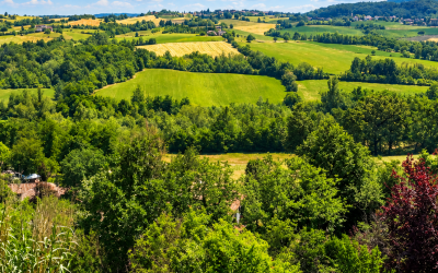 TRA STORIA, GUSTO E NATURA