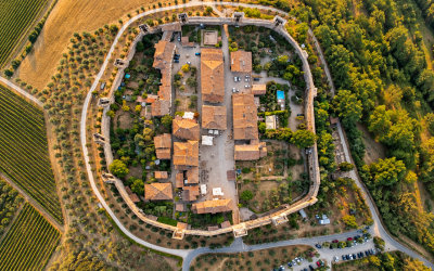 VOCI DI VIGNA E FRANTOIO