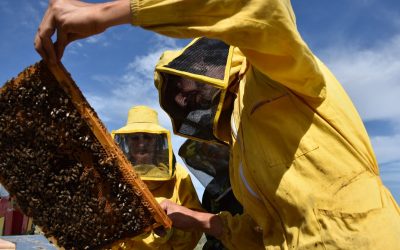 LE ORIGINI DEL MEDITERRANEO – PERCORSO GIALLO